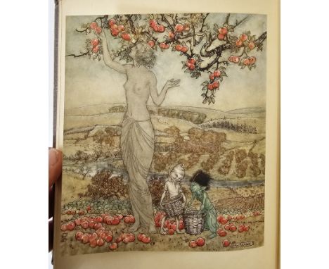 Rackham, Arthur (ills) "Irish Fairytales", by James Stephens, Macmillan & Co 1920, colour plates with tissue guards, illustra