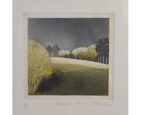 Belinda King, Approaching Storm, coloured etching number 12 of 20 signed in pencil, 18cms by 19cms 