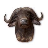Y A PRESERVED CAPE BUFFALO