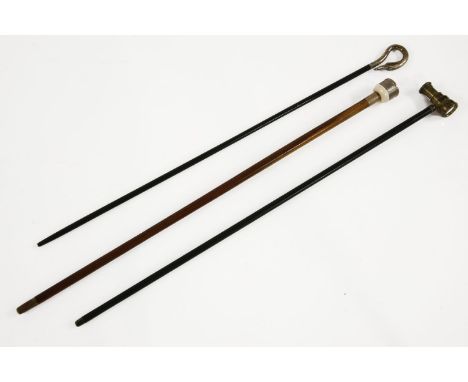 Three walking sticks, the first with three dice in a silver box, the second with a monocular, the last with silver swan's hea