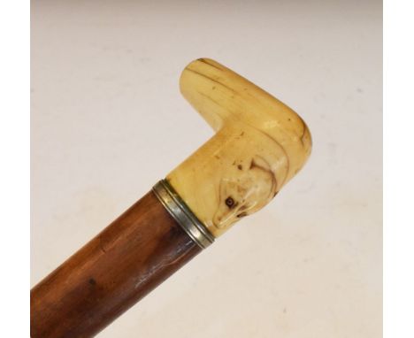 Late 19th/early 20th Century ivory-handled Malacca walking stick or cane, the handle carved with the head of an animal, 81cm 