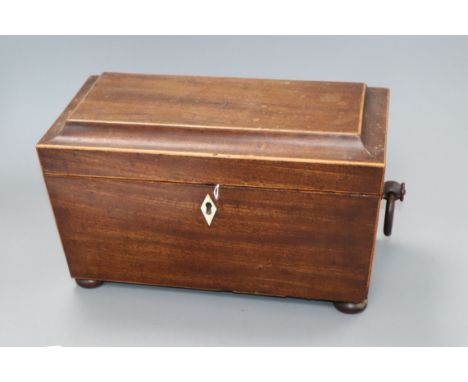 A William IV mahogany tea caddy