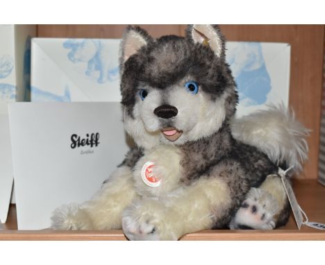 A BOXED LIMITED EDITION STEIFF 'BOBBY HUSKY MASTERPIECE', with grey and white alpaca and cotton 'fur', gold coloured ear butt