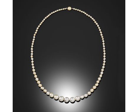 A single-row graduated natural pearl necklace, the pearls measure 3.55 - 11.85mm, the clasp formed with a natural pearl, the 