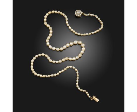 A single-row natural pearl necklace, the pearls graduate from 2.1 - 4.5mm, with a pearl and diamond cluster clasp in gold, 41