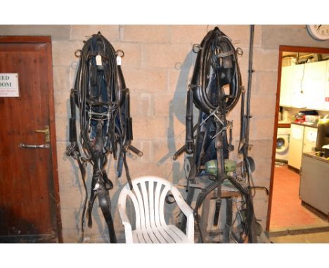 Vanner light horse pair harness.
