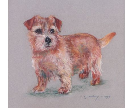 C A Sharpley
Coloured pastels portrait of a terrier, 1995, signed, 11.5" x 12" framed