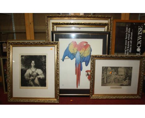 Four gilt framed monochrome prints and one other coloured print of a parrot (5)