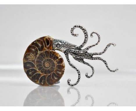 A Novelty Brooch Formed From an Ammonite Shell, Realistically Modelled with Tentacles, 67.5mm Long Max
