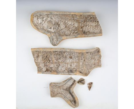 A large fossil specimen of a fish, probably Madagascar region, length 113cm (faults), together with a stand with slate base.B