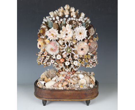 A Victorian seashell specimen flower arrangement, mounted within an oval glass dome, on a walnut stand, height 53cm, width 34