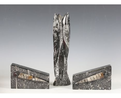 An orthoceras fossil specimen slab, 36cm x 23cm, a similar smaller orthoceras slab, height 32cm, and two others shaped as boo