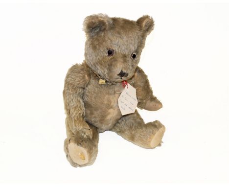 An early to mid-20th Century English teddy bear, possibly Chiltern, having a light brown mohair covered body, clear glass eye