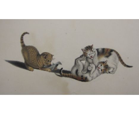 AFTER GOTTFRIED MIND (1768-1814)Cat Subjects,fourteen hand-coloured aquatints, unframed, mounted on backing card, with ink bo