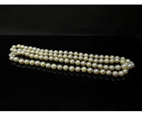 An opera length pearl necklace with 9ct gold clasp, 81cm long 