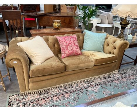 Wade upholstery classic style gold velour button back Chesterfield sofa with feather filled seat cushions, tasselled edging, 