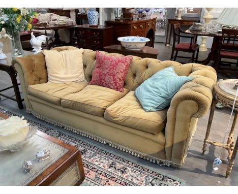 A Wade upholstery classic style gold velour button back Chesterfield sofa with feather filled seat cushions, tasselled edging