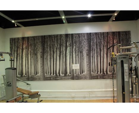 Fabric Wall Art 5.7 x 2.1m