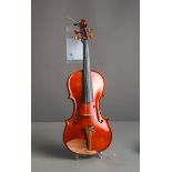 Violine / Geige