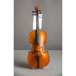 Violine / Geige