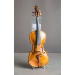 Violine / Geige