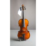 Violine / Geige
