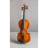 Violine / Geige