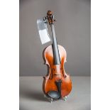 Violine / Geige