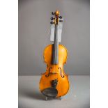Violine / Geige