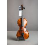 Violine / Geige