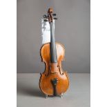 Violine / Geige