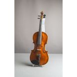 Violine / Geige