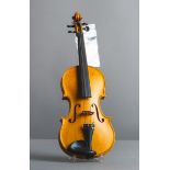 Violine / Geige