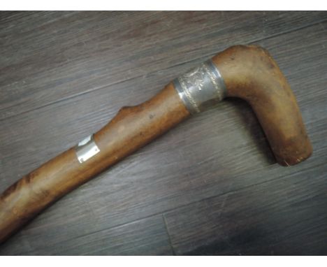 A treen walking stick of heavy naturalistic design with HM silver collar