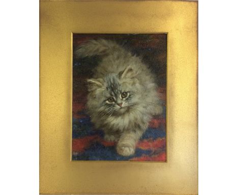 19th century oil on board of a kitten signed in bottom left corner R Bebb (possibly Rosa Bebb) 33cm x 28cm
