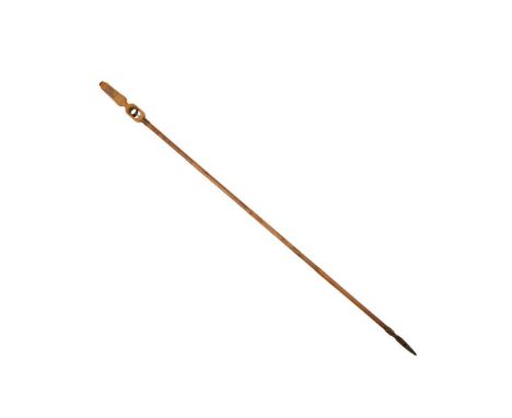 FRENCH ADRIEN DUBOIS COMBINATION BOTANY GADGET CANE CIRCA 1880 - 1920 bamboo cane with finger pull in the ash handle that all