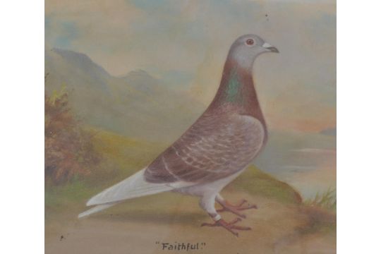 Andrew Beer 1862 1954 A Framed And Glazed Oil On Canvas Prize Racing Pigeon Faithful Notat