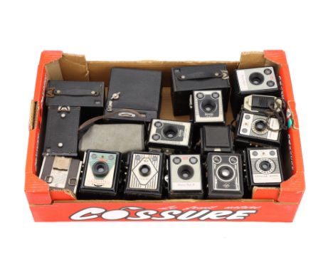A Tray of Box Cameras 17 cameras; including No. 2 Brownie (2), a No. 2A Brownie, a No. 2 Portrait Brownie, a Kodak Duoflex II