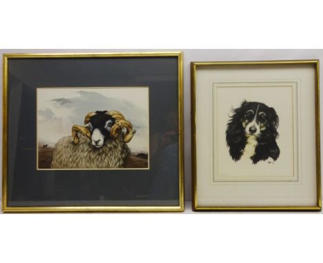 Scottish Blackface, watercolour signed and dated '75 by Terry Logan (British 1938-) 27cm x 37cm and 'Bessie' - Portrait of a 