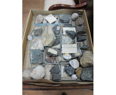 TWO BOXES OF FOSSIL STONES