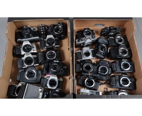 Two Trays of SLR Camera Bodies, including three Nikon F-301, a Pentax P30, P30n, a Cosina CS-1, Practica LTL, MTL50, SCA, Can