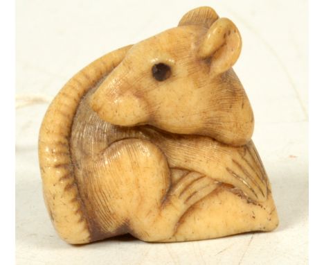 A bone netsuke of a seated rat, in Kyoto style, 19th century, height 3cm, width 3cm.