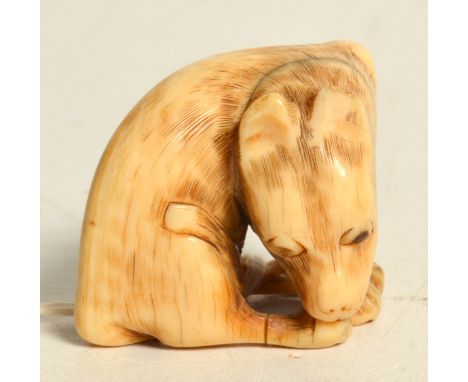 An ivory netsuke, 19th century, of a squatting dog, probably Kyoto School, height 3cm, width 4.5cm.  Repair to front leg. No 