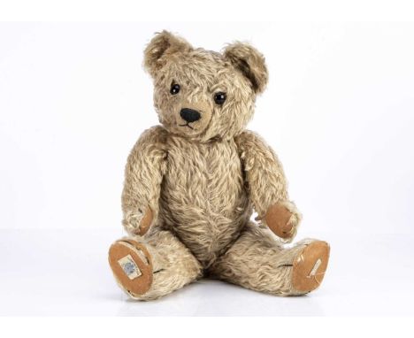 A 1930's Chad Valley teddy bear, with golden mohair, orange and black glass eyes, black stitched nose, mouth and claws, clipp