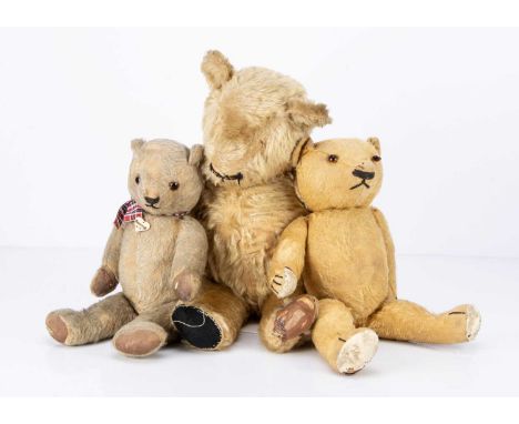 Three Chad Magna teddy bears,  the largest with golden mohair, black stitched nose and mouth, swivel head and jointed limbs l