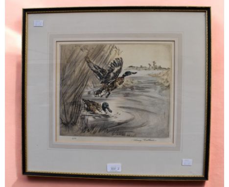 Henry Wilkinson (1921-2011), a pair of dry point etchings, one of two Shoveler, other of Teal, both framed and glazed, each a