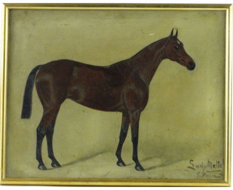 George Paice (1854-1925),
oil on canvas, portrait of a horse "Lady Malta," signed and dated '06, 14" x 18", framed.