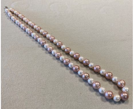sixty three pearls, with a central pearl of 15.9mm graduating to 10.4mm, of natural colour, alternately strung in white and p