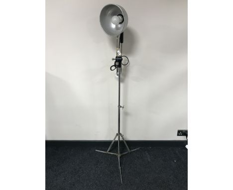 A mid 20th century angle poised lamp on stand 