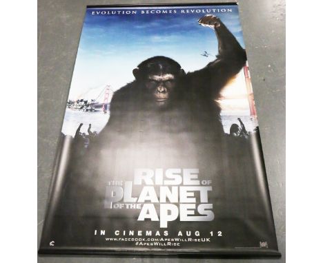 20th Century Fox (publishers) - 'The Rise of Planet of the Apes' (Movie Scroll Foyer Poster), digital colour print, published
